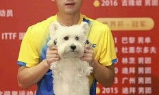 乐鱼体育app下载-张继科访问班掌控一只手，再定音使两者离地