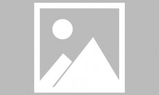 乐鱼体育官方入口-猛龙客场力克尼克斯，西亚卡姆继续稳定输出取得胜利的简单介绍