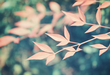 瑞典国家队陷入困境！瑞典队遭遇两连败