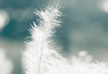 江苏苏宁击败上海申花，斩获关键胜利