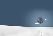 奥地利国家队遭遇失利！奥地利队挣扎在欧预赛赛场