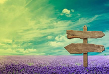 雷恩队喜迎胜利，挺进欧冠淘汰赛阶段