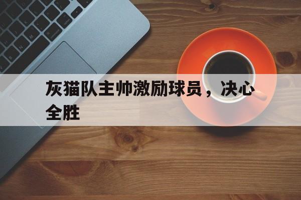 灰猫队主帅激励球员，决心全胜的简单介绍