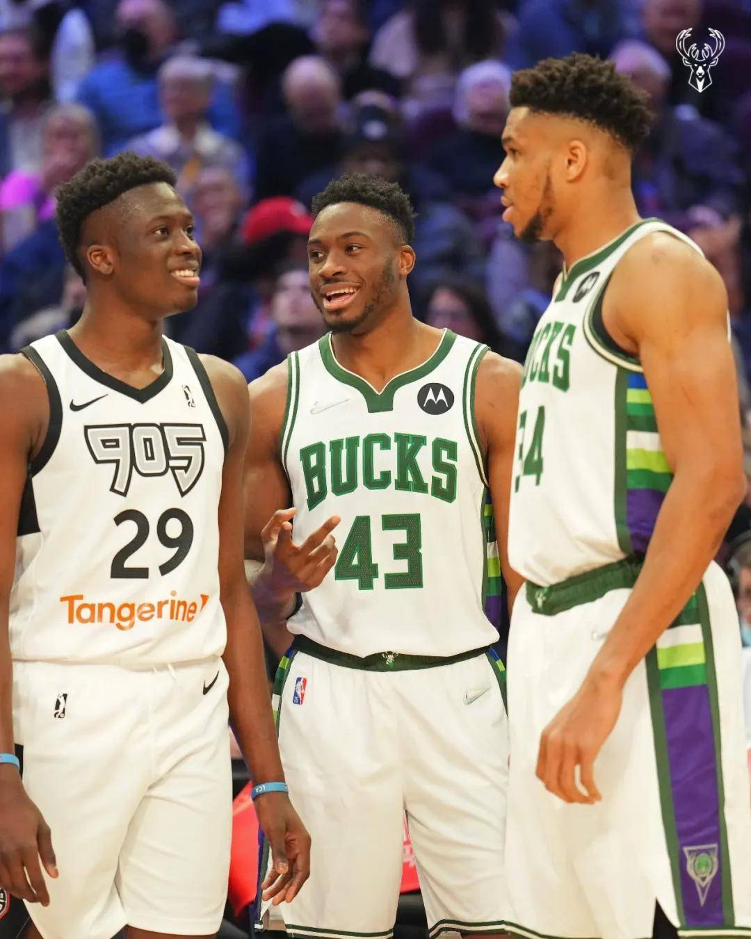 雄鹿大胜热火，字母哥砍下36分斩杀对手的简单介绍